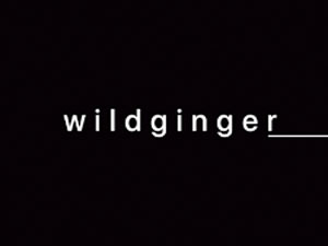 Wildginger Brewery